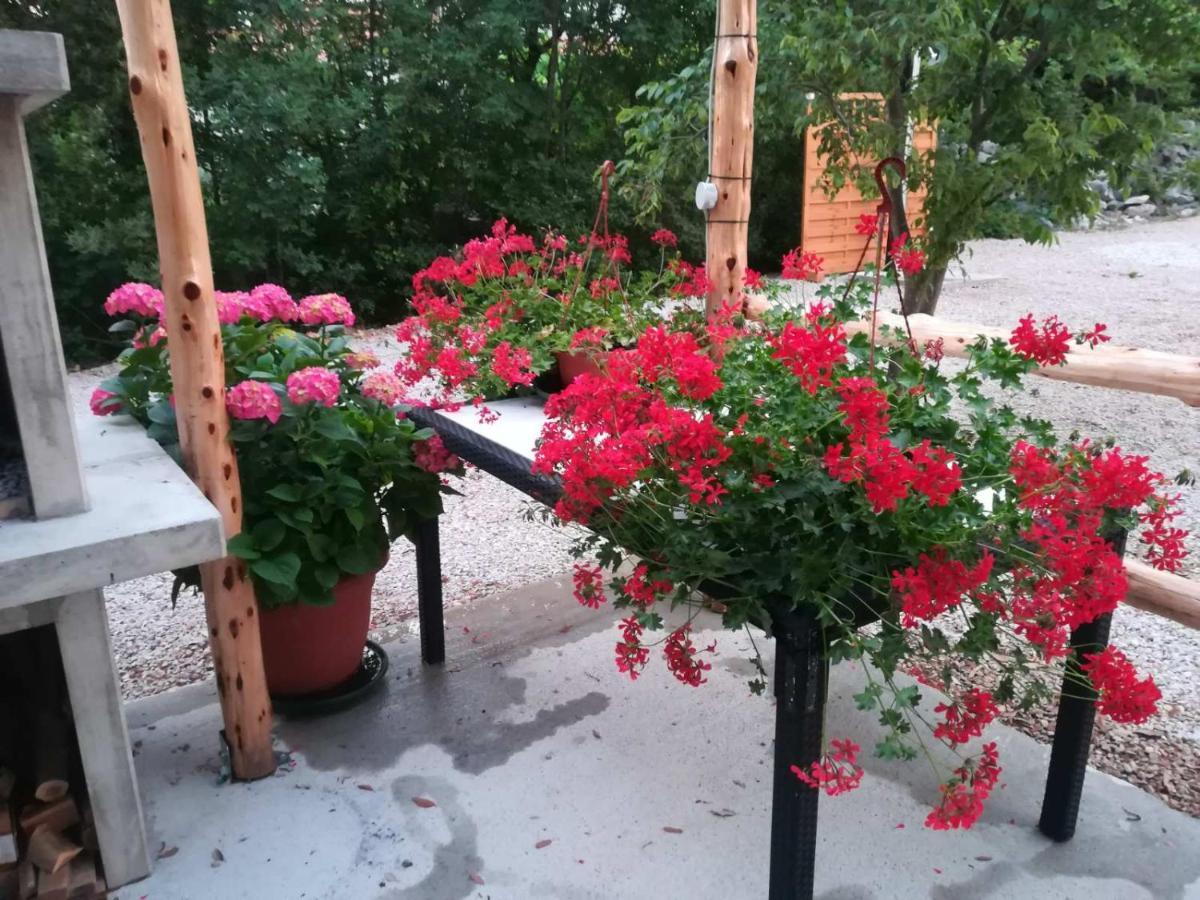 Stela Apartment Pinezici (Krk)